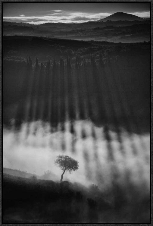 "Rising Up" Framed Canvas Giclee by Peter Svoboda, 21x31"