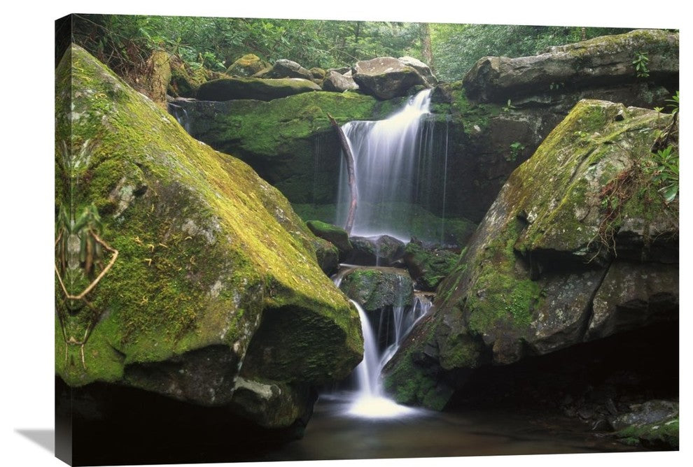 "Cascade, Great Smoky Mountains National Park, Tennessee" Artwork