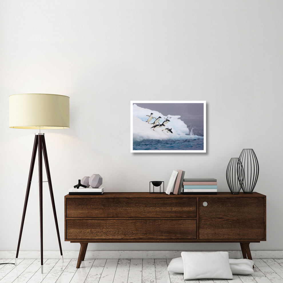 "Adelie Penguin diving off iceberg, Paulet Island" Paper Art, 32"x22"