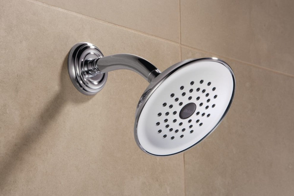 Delta Single-Setting Raincan Shower Head, Stainless, RP42578SS