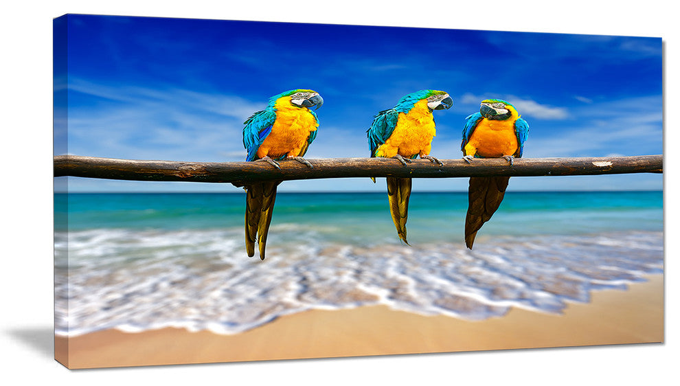 "Blue and Gold Macaws at Beach" Seashore Canvas Photo Print, 32"x16"