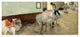 "The Dance Lesson, c. 1879" Digital Paper Print by Edgar Degas, 38"x17"
