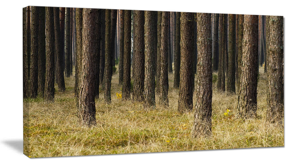 Dark Fall Forest with Green Grass, Modern Forest Canvas Art, 32"x16"