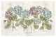"Vibrant Row of Hydrangea No Border" Digital Paper Print by Cheri Blum, 38"x26"