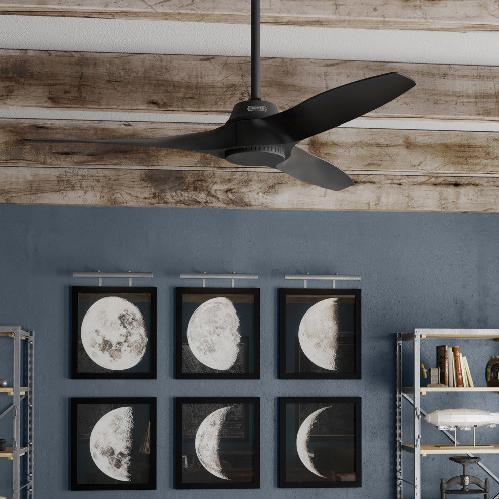 52" Mosley Damp Rated Ceiling Fan and Wall Control, Matte Black