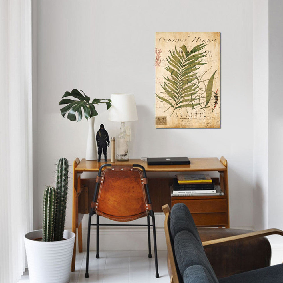 "Palm Study I" by Deborah Devellier, Canvas Print, 18"x12"