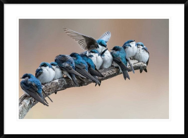 "No Room? No Problem. I Will Make Myself Some Room."  by Cheng Chang, 38x28"