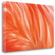 "Danza De La Pluma" By Xavier Ortega, Giclee Print on Gallery Wrap Canvas