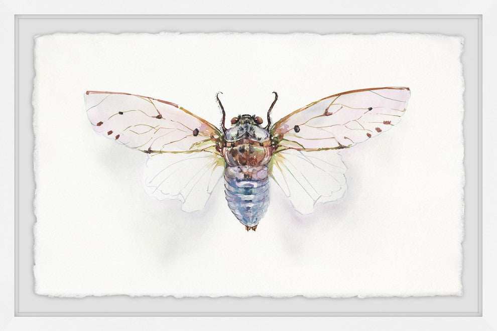 "White Wingspan" Framed Painting Print, 36"x24"