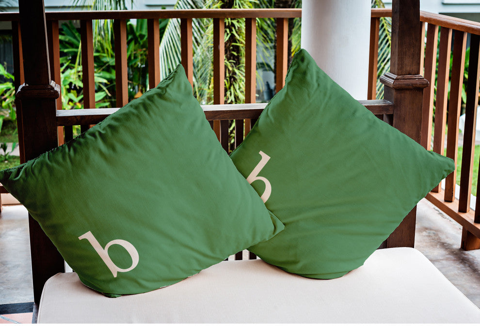 18" x 18" Modern Monogram Indoor/Outdoor Polyester Throw Pillow, Sage