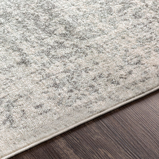 Harput Traditional Black and Light Gray Area Rug, 2'x3'