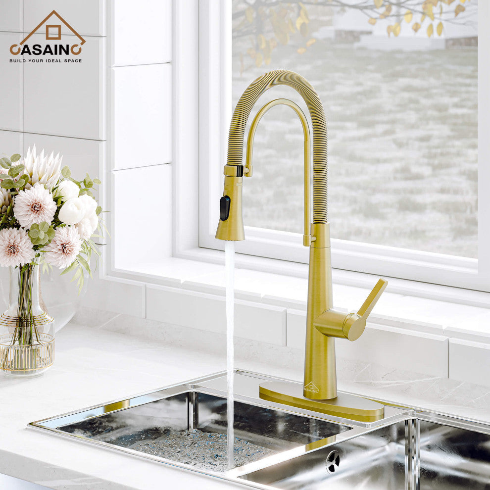 Single-Handle Spring Neck Standard Kitchen Faucet with Dual-Function, Brushed Gold