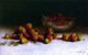 Joseph Decker Strawberries in a Cut Glass Bowl Wall Decal