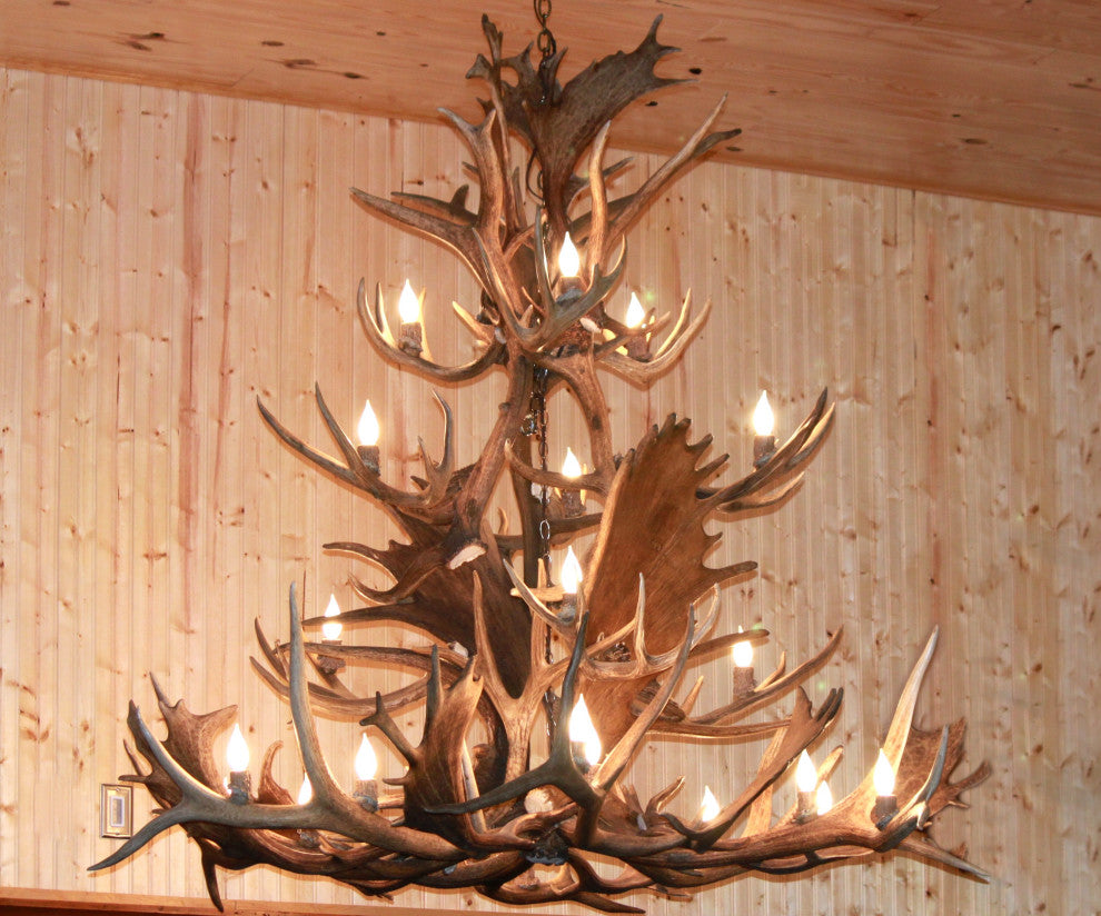 Real Antler Elk Canadian Jewel Deer Chandelier Light