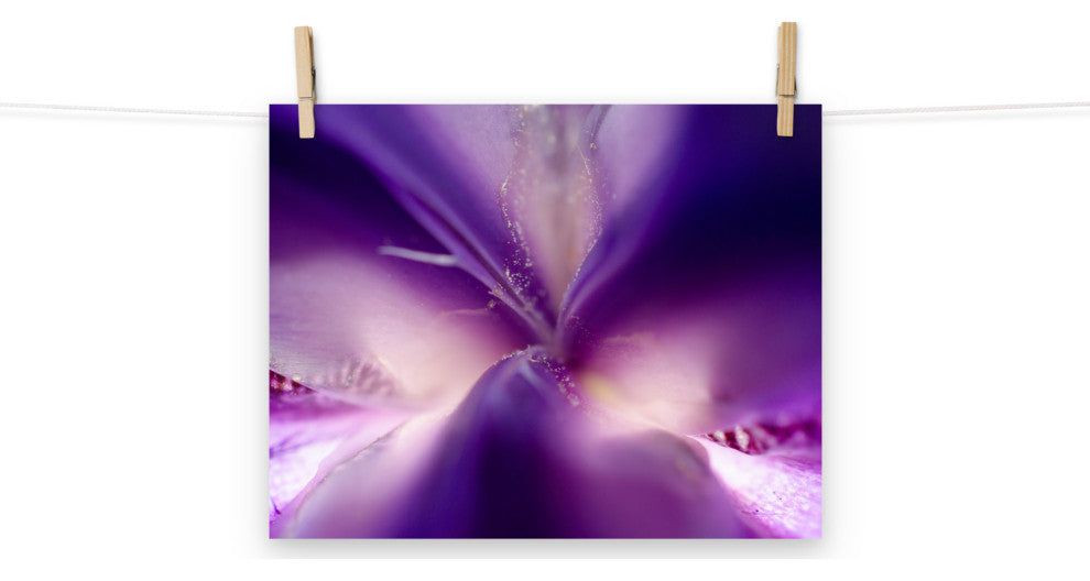 Iris Center Petals Nature Photography, Floral Unframed Wall Art Print, 11" X 14"