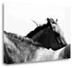 "Wild Whispers II" By Peggy Corpeny, Giclee Print on Gallery Wrap Canvas