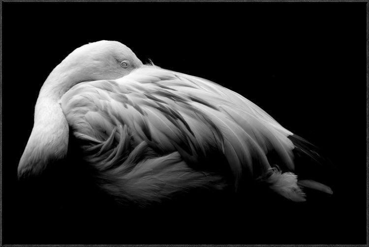 "Be Me" Framed Canvas Giclee by Summer Ice, 37x25"