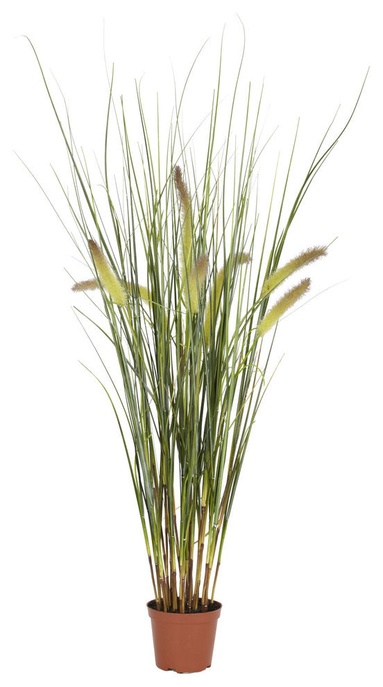 2.5' Grass Plant