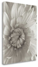 "Florison - 24" By Alan Blaustein, Giclee Print on Gallery Wrap Canvas