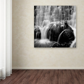 "Velo de Novia" Canvas Art by Moises Levy