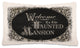 CURIOSITIES 12x20 PILLOW