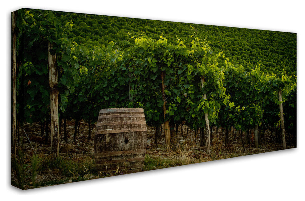 Dan Ballard 'Grapevines and Barrel' Canvas Art, 24"x12"