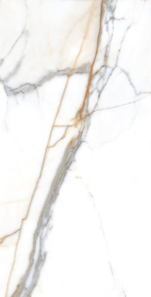 Calacatta Gold Porcelain Marble Look Matte Wall and Floor Tile, 24x48