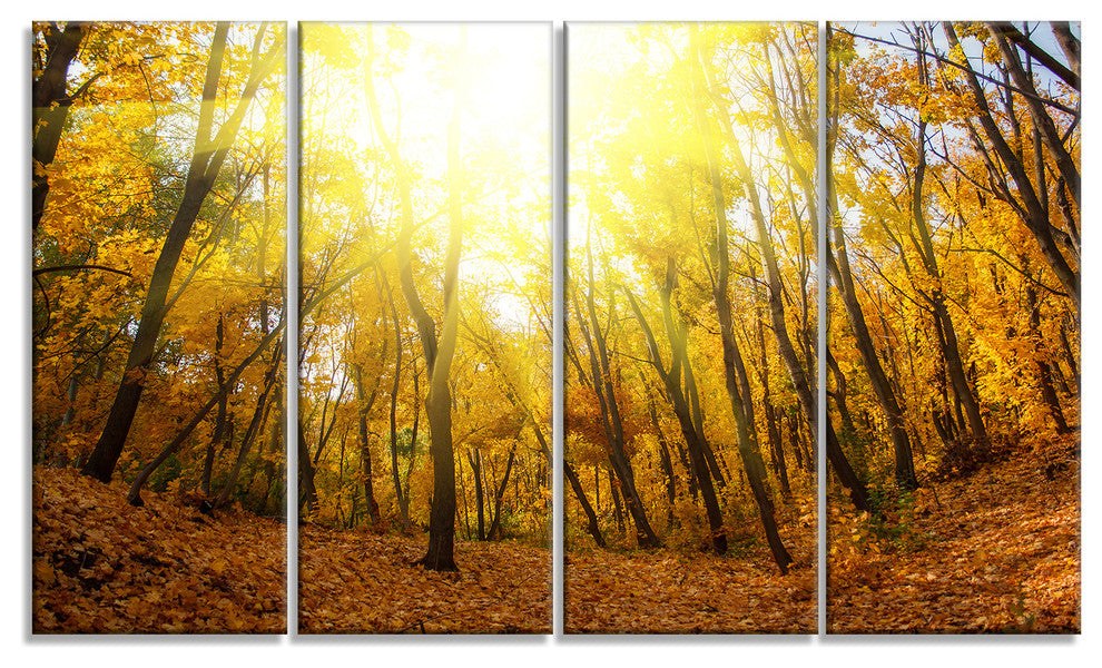 Yellow Autumn Forest in Sunlight, Forest Canvas Art Print, 48"x28", 4 Panels
