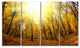 Yellow Autumn Forest in Sunlight, Forest Canvas Art Print, 48"x28", 4 Panels