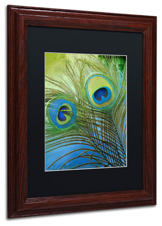 Color Bakery 'Peacock Candy I' Art, Wood Frame, Black Matte, 11"x14"