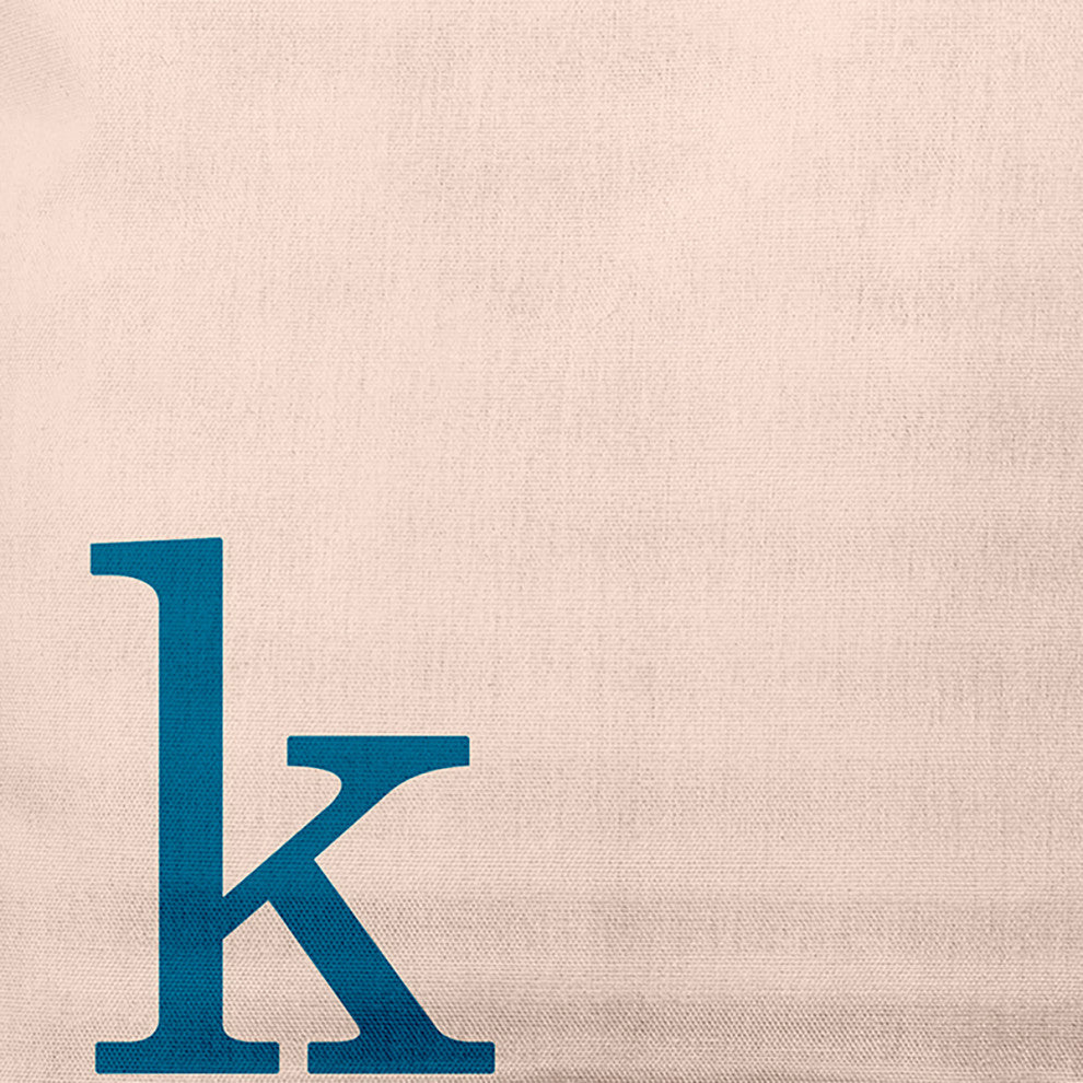 20"x20" Modern Monogram Decorative Throw Pillow, Autumn Blue