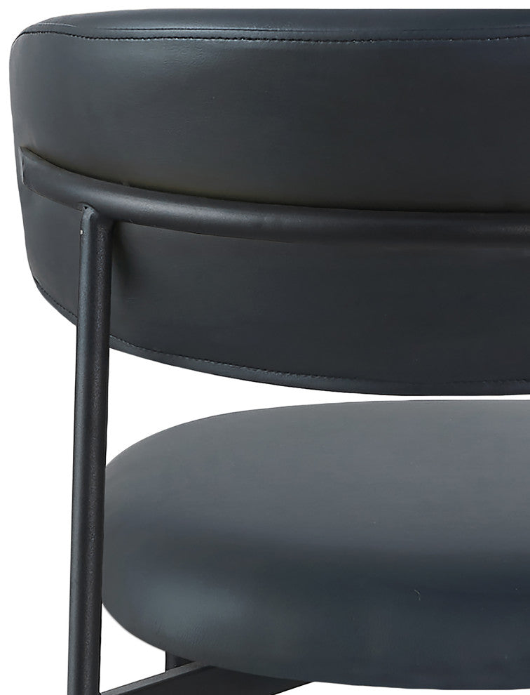 Lupita Vegan Leather Dining Chair, Set of 2, Black, Matte Black Finish