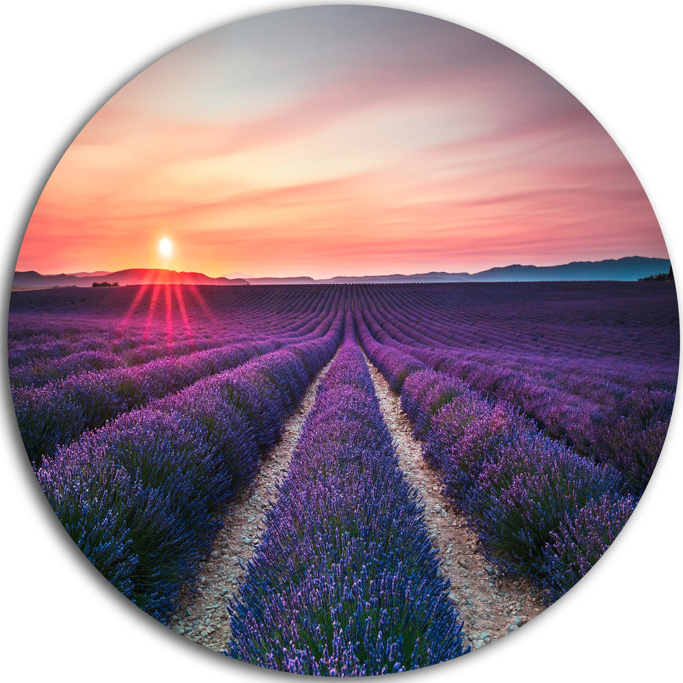 Endless Rows Of Lavender Flowers, Landscape Disc Metal Wall Art, 36"