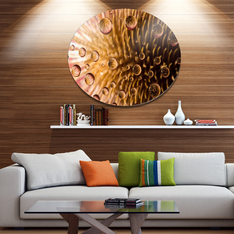 Colorful Brown Flower In Raindrops, Floral Round Wall Art, 38"