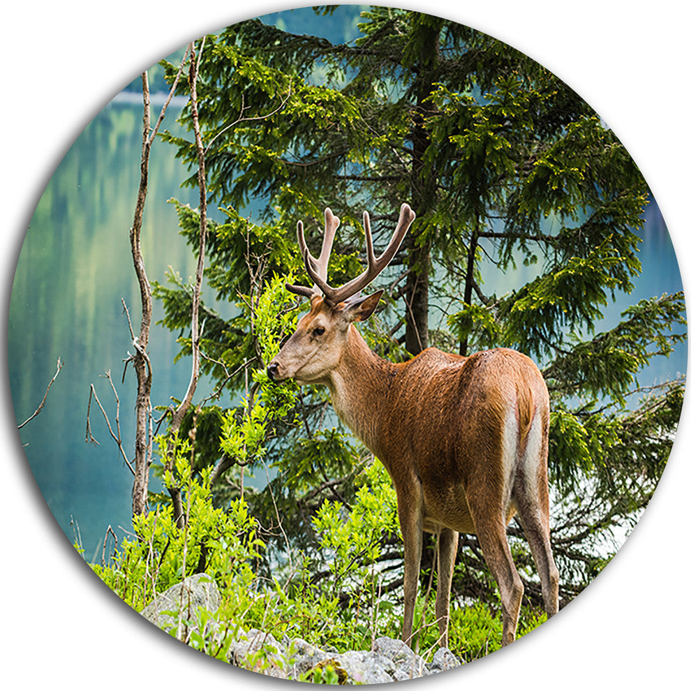 Deer Stag Near The Lake, Animal Round Wall Art, 23"