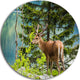 Deer Stag Near The Lake, Animal Round Wall Art, 23"