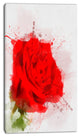 Bright Red Watercolor Rose Sketch, Floral Canvas Art Print, 16"x32"