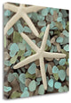 20" Starfish and Seaglass Giclee Wrap Canvas Wall Art