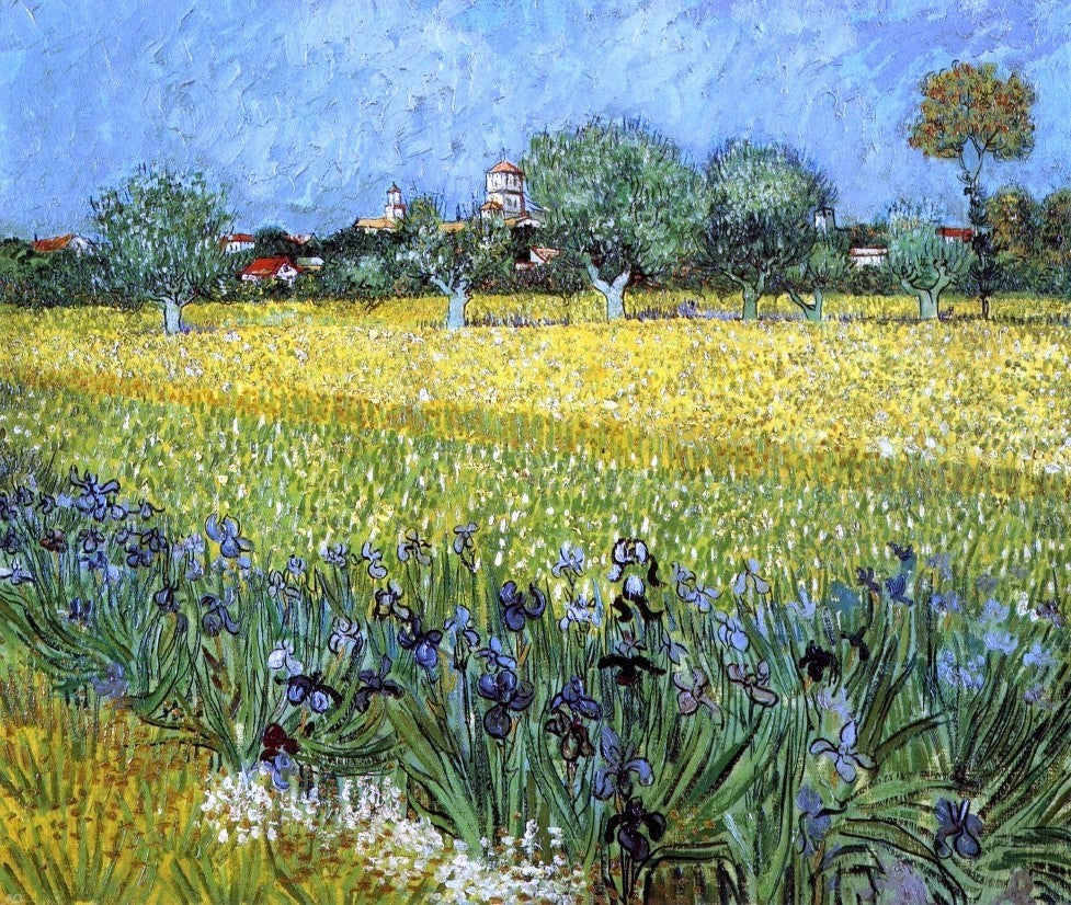 Vincent Van Gogh View of Arles With Irises, Gallery Wrapped Canvas, 20"x25"