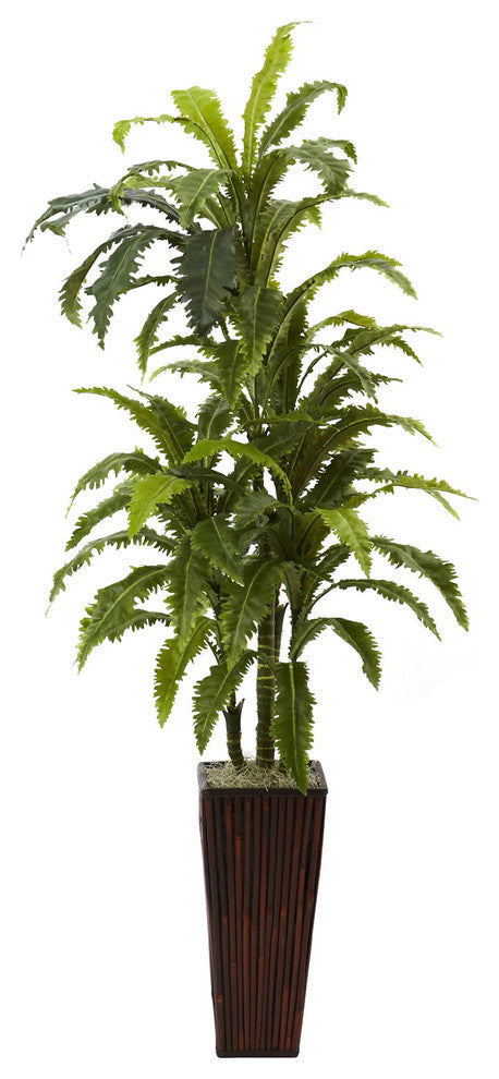 Margarintum With Bamboo Planter