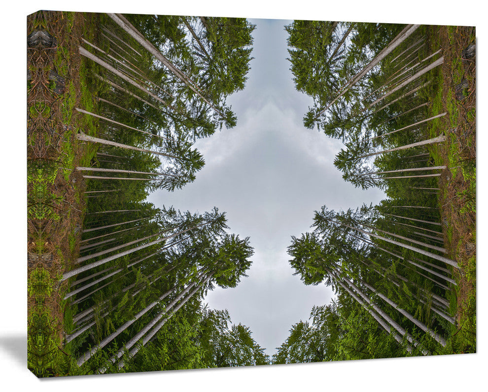 Circle Composition of Coniferous Trees, Landscape Canvas Art Print, 40"x30"