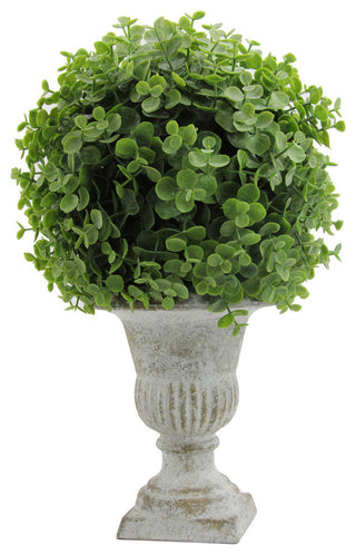 Full product on white background, front-facing view showing the entire potted eucalyptus ball