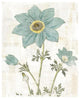 "Bloemen Boek III" Digital Paper Print by Sue Schlabach, 24"x30"