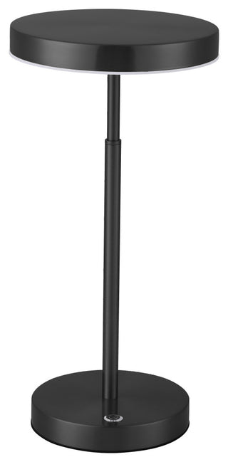 Francine Modern 1 Light Sandy Black White Metal Table Lamp