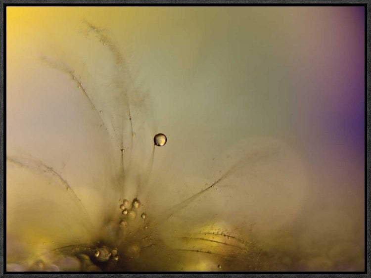 "Feeling Of A New Day" Framed Canvas Giclee by Heidi Westum, 23x17"