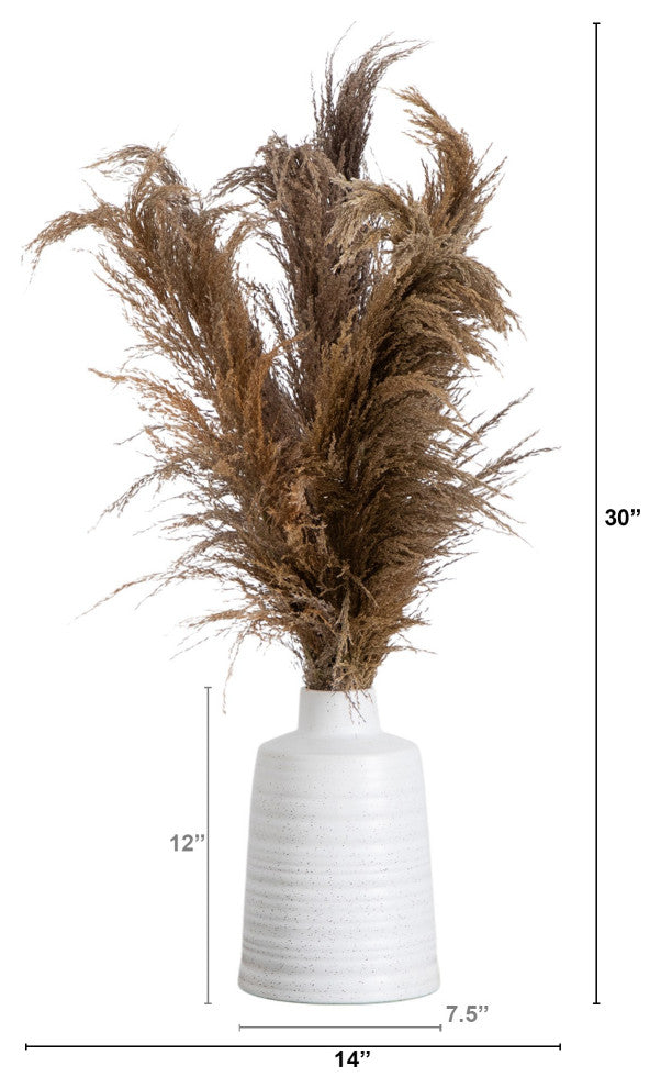 30" Dried Natural Pampas Arrangement, Ceramic Vase