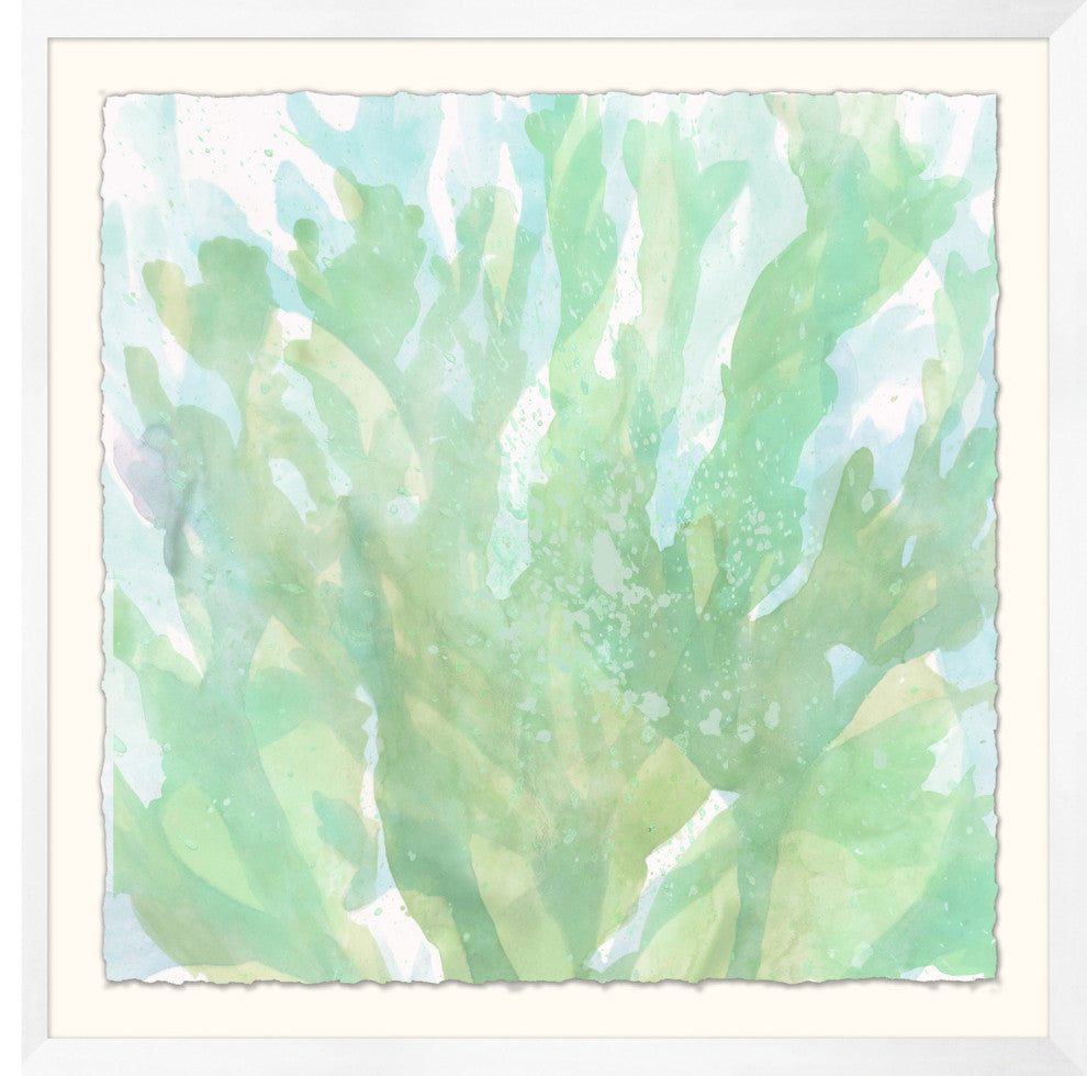 Translucent Ocean Life 4, Giclee Reproduction Artwork