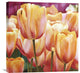 Spring Tulips I, 24"x24"
