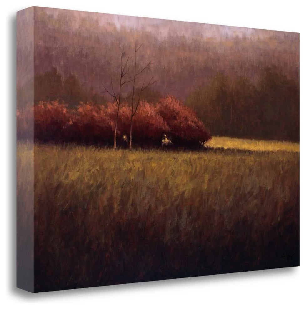 "Young Maples" By Simon Winegar, Giclee Print on Gallery Wrap Canvas