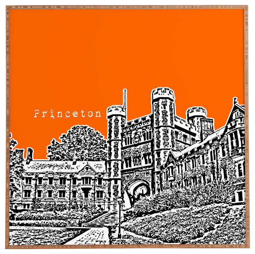 Deny Designs Bird Ave Princeton University Orange Framed Wall Art